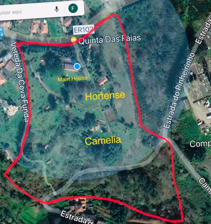 Quinta Das Faias Camacha  Exterior foto