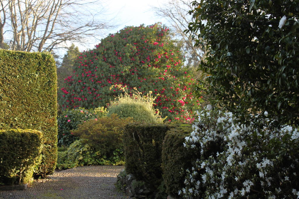 Quinta Das Faias Camacha  Exterior foto
